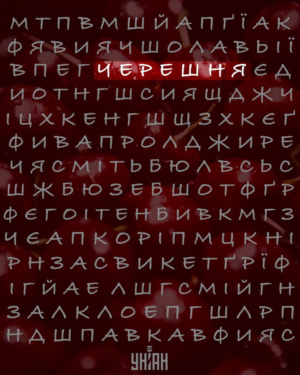Ar galite rasti žodį 