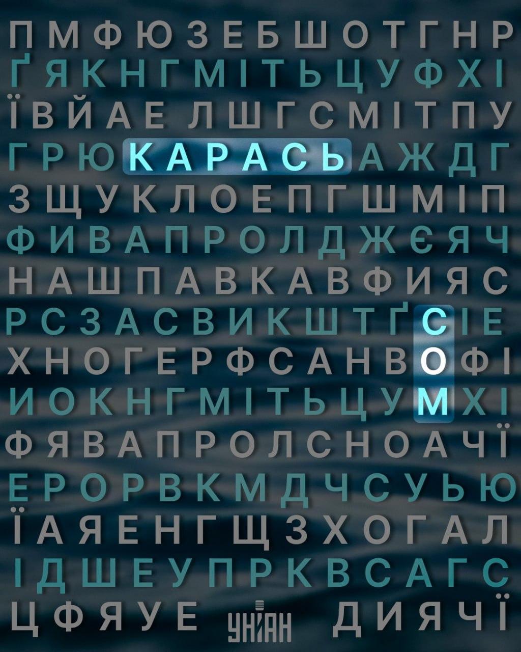Moje koliažas