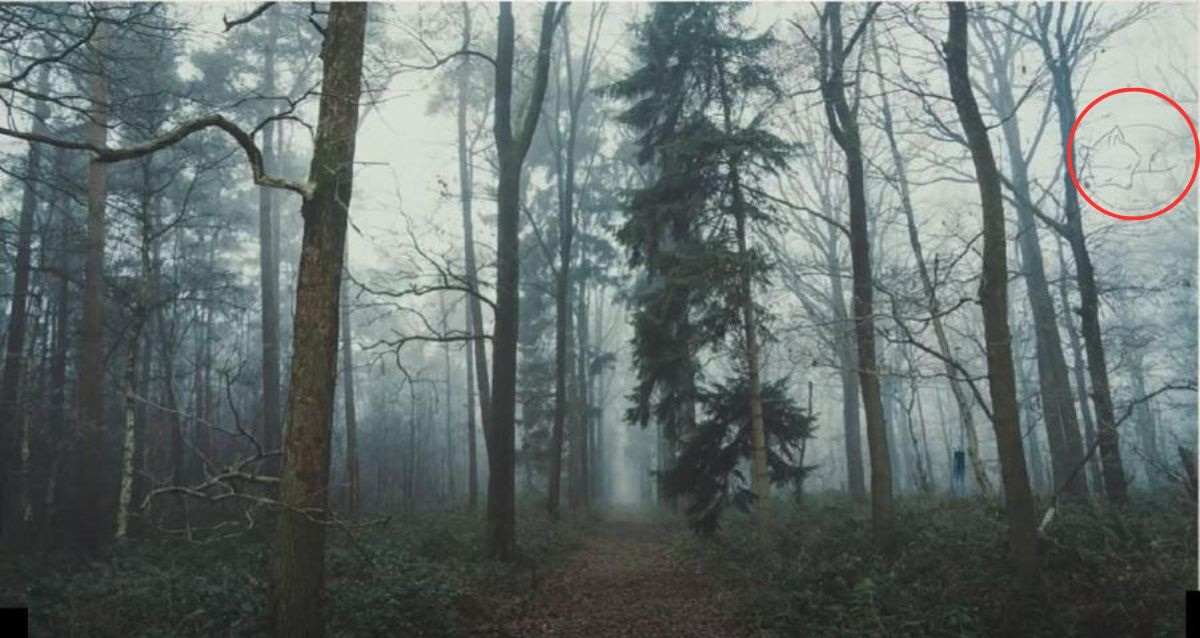 Mįslė