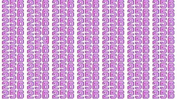 Mįslė