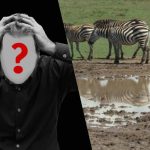 Greitas IQ testas: suraskite šunį lauke per 6 sekundes