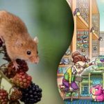 Pelės bibliotekoje suradimas per 12 sekundžių: nepaprastas galvosūkis genijams