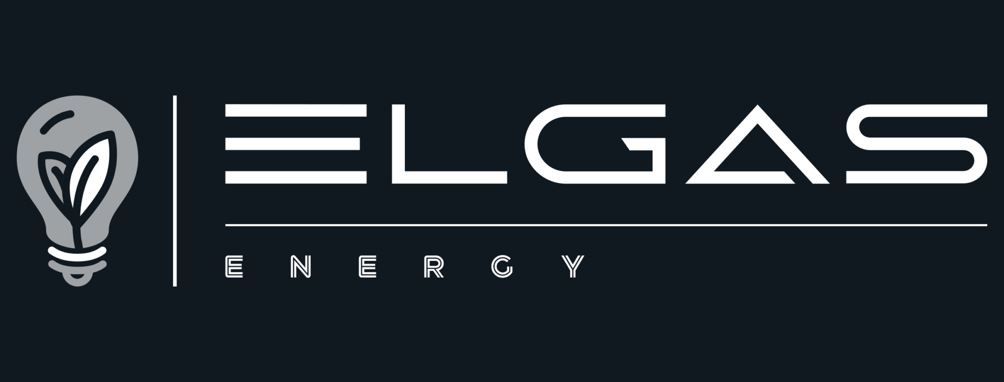 Šaunūs galvosūkiai ELGAS ENERGY